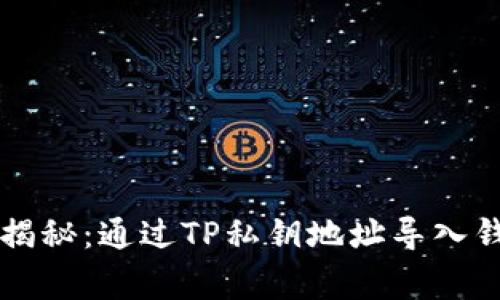专家独家揭秘：通过TP私钥地址导入钱包的秘诀