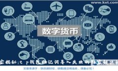 专家揭秘：t p钱包助记词