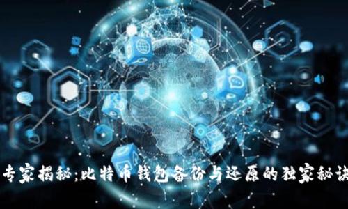 专家揭秘：比特币钱包备份与还原的独家秘诀