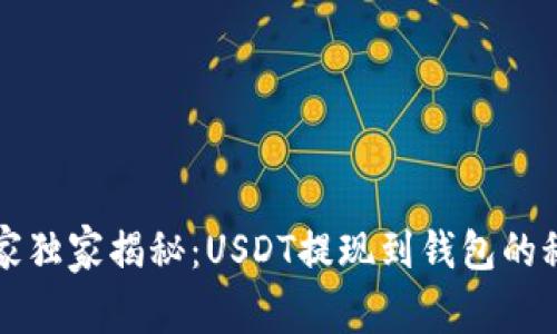 专家独家揭秘：USDT提现到钱包的秘诀