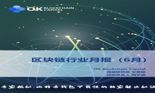 专家揭秘：比特币钱包下载慢的独家解决秘诀