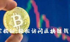 专家独家揭秘：轻松访问