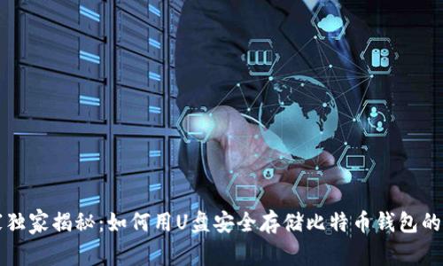 专家独家揭秘：如何用U盘安全存储比特币钱包的秘诀