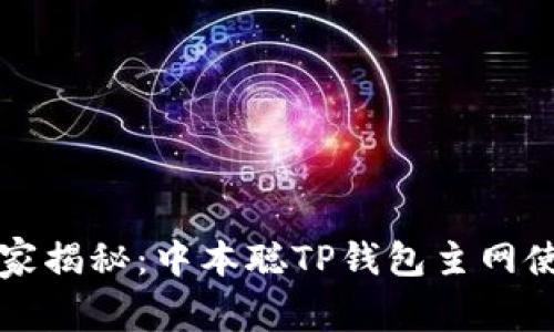 专家独家揭秘：中本聪TP钱包主网使用秘诀