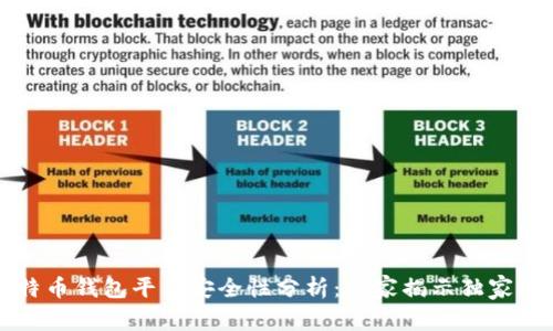 比特币钱包平台安全性分析：专家揭示独家秘诀