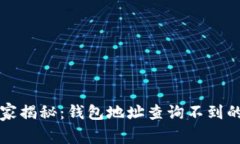 区块链专家揭秘：钱包地