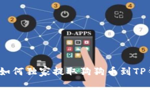 专家揭秘：如何独家提取狗狗币到TP钱包的秘诀