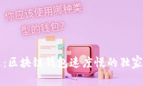 专家揭示：区块链钱包速度慢的独家秘诀分析
