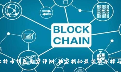 2023年比特币钱包专家评测：独家揭秘最优质选择与使用秘诀