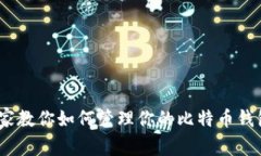独家揭秘：专家教你如何