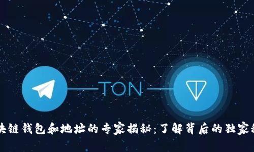 区块链钱包和地址的专家揭秘：了解背后的独家秘诀