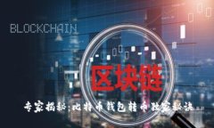 专家揭秘：比特币钱包转