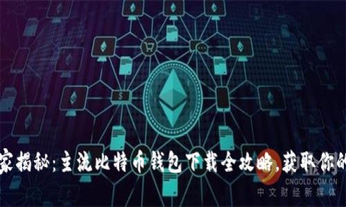 2023年专家独家揭秘：主流比特币钱包下载全攻略，获取你的加密资产秘诀！