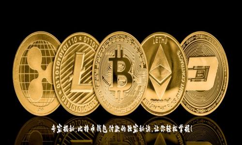 专家揭秘：比特币钱包付款的独家秘诀，让你轻松掌握！