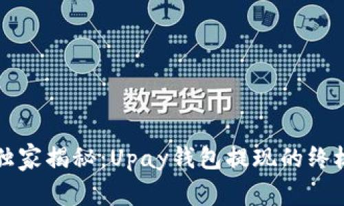 专家独家揭秘：Upay钱包提现的终极秘诀