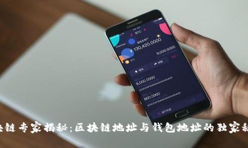 区块链专家揭秘：区块链地址与钱包地址的独家秘诀！