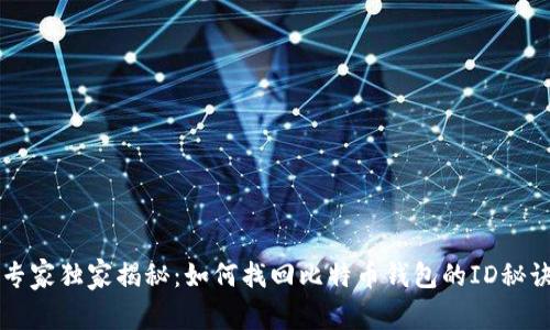 专家独家揭秘：如何找回比特币钱包的ID秘诀