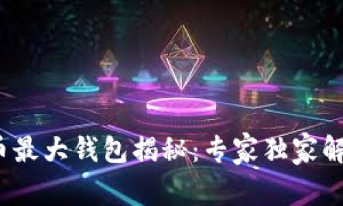 2009年比特币最大钱包揭秘：专家独家解析其中的秘诀