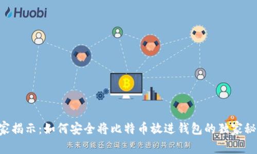 专家揭示：如何安全将比特币放进钱包的独家秘诀！