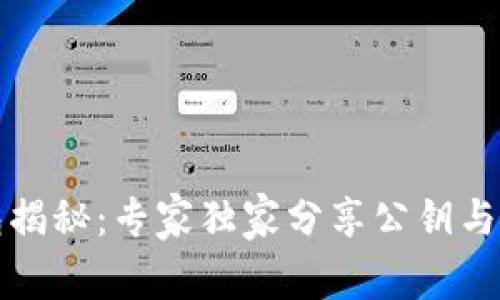 比特币钱包揭秘：专家独家分享公钥与私钥的秘诀