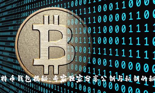比特币钱包揭秘：专家独家分享公钥与私钥的秘诀