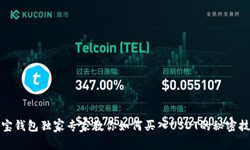 波宝钱包独家专家教你如何买入USDT的秘密技巧