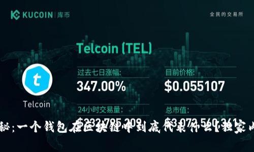 区块链专家揭秘：一个钱包在区块链中到底代表什么？独家内幕与秘诀分享