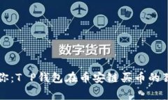 专家教你：T P钱包在币安