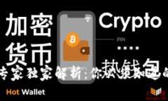 区块链钱包的专家独家解
