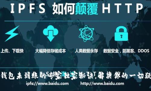 TP钱包未到账的专家独家秘诀，解决你的一切疑问