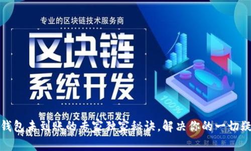 TP钱包未到账的专家独家秘诀，解决你的一切疑问