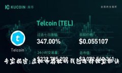 专家揭密：虚拟币存放的