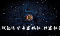 区块链钱包运营专家揭秘
