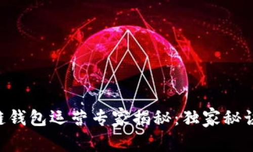 区块链钱包运营专家揭秘：独家秘诀分享!