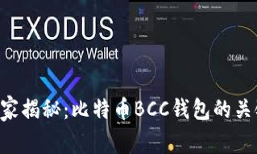 专家独家揭秘：比特币BCC钱包的关键秘诀！