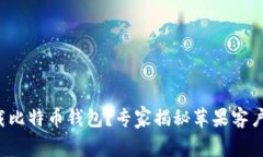 如何安全下载比特币钱包