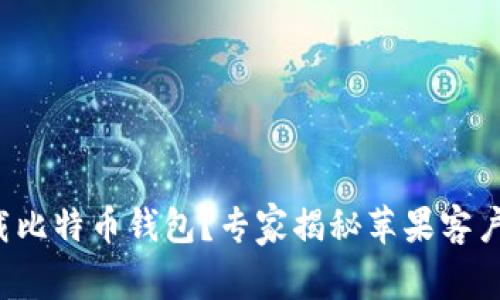 如何安全下载比特币钱包？专家揭秘苹果客户端独家秘诀！