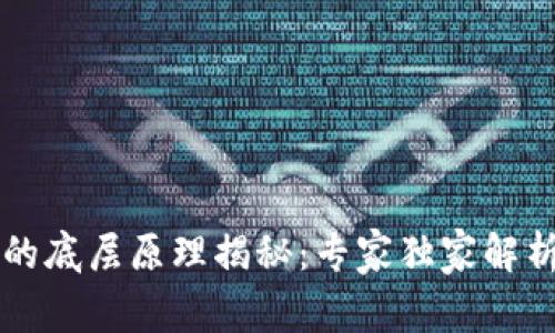 比特币钱包的底层原理揭秘：专家独家解析与秘诀分享