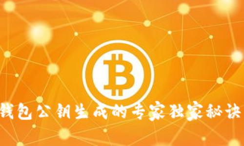 比特币钱包公钥生成的专家独家秘诀大揭秘！