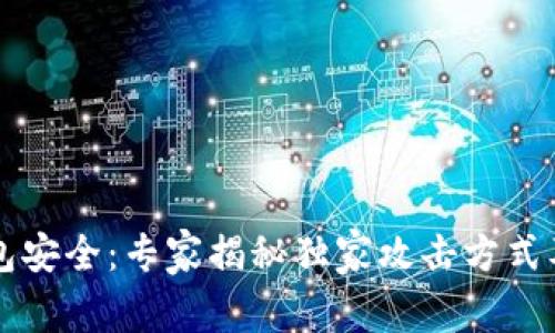区块链钱包安全：专家揭秘独家攻击方式及防范秘诀