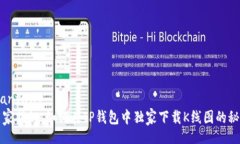 bianfang  专家揭秘：如何在