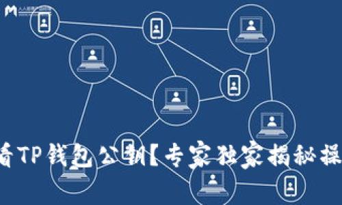 如何查看TP钱包公钥？专家独家揭秘操作秘诀！