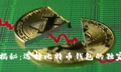 专家揭秘：选择比特币钱