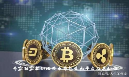 专家独家揭秘比特币钱包最大平台及其秘诀