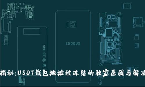 专家揭秘：USDT钱包地址被冻结的独家原因与解决秘诀