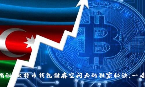 专家揭秘：比特币钱包储存空间大的独家秘诀，一看就懂！