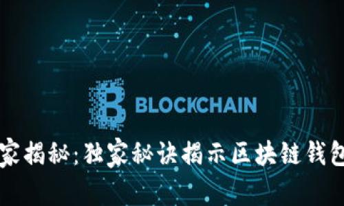 区块链钱包专家揭秘：独家秘诀揭示区块链钱包能做的那些事