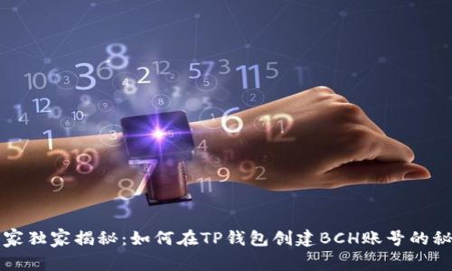 专家独家揭秘：如何在TP钱包创建BCH账号的秘诀