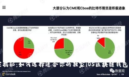 专家揭秘：如何选择适合你的独家iOS区块链钱包秘诀
