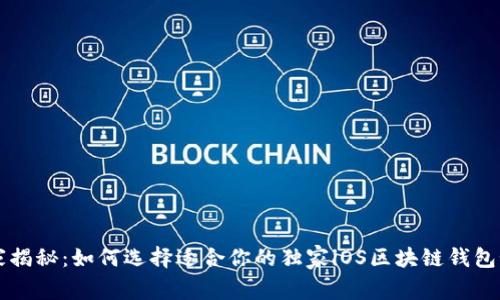 专家揭秘：如何选择适合你的独家iOS区块链钱包秘诀